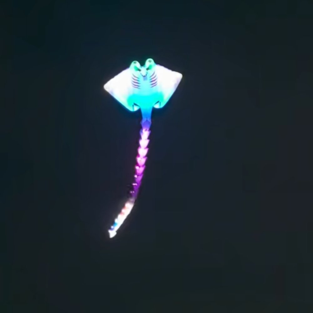 Professional 15m LED Manta Ray Kite –30D Nylon Giant Soft Kite - Image 3
