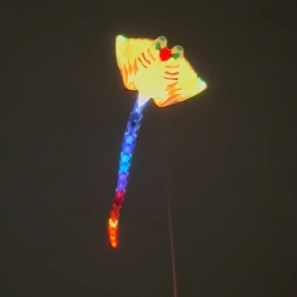 Professional 15m LED Manta Ray Kite –30D Nylon Giant Soft Kite - Image 4