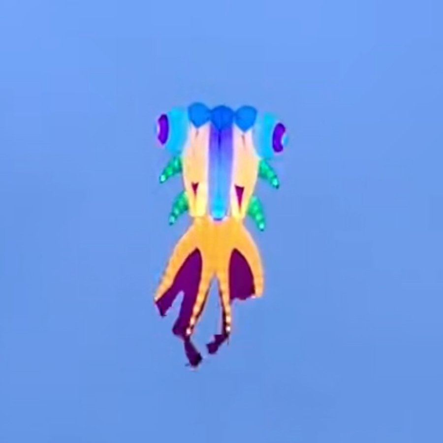 9m LED Goldfish Kite – 40D Ripstop Nylon Giant Kite For Adults - Image 3