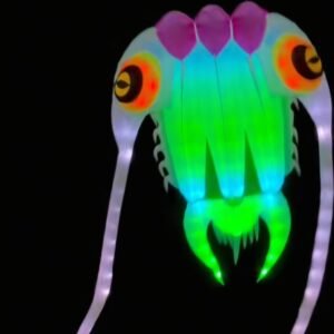 16sqm LED Trilobite Kite – 40D Ripstop Nylon Giant Soft Kite with Remote Control