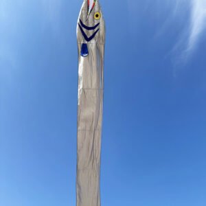 19m Giant Ribbonfish Kite Soft Inflatable Kite Professional Outdoor Beach Kite