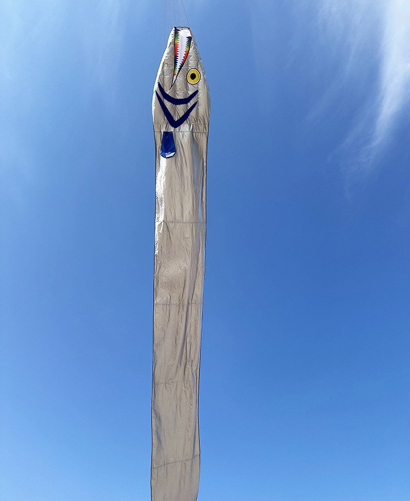 19m Giant Ribbonfish Kite Soft Inflatable Kite Professional Outdoor Beach Kite