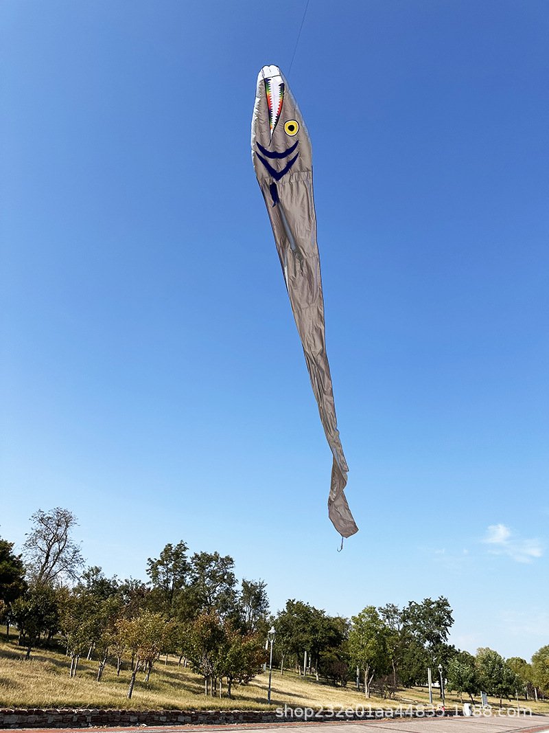 19m Giant Ribbonfish Kite Soft Inflatable Kite Professional Outdoor Beach Kite - Image 6