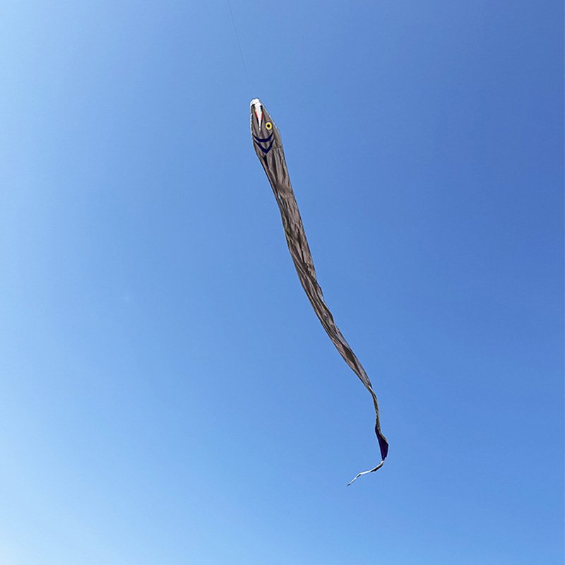 19m Giant Ribbonfish Kite Soft Inflatable Kite Professional Outdoor Beach Kite - Image 5