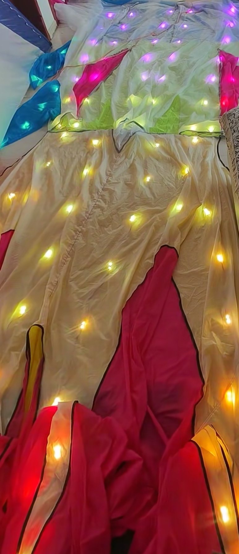 9m led goldfish kite
