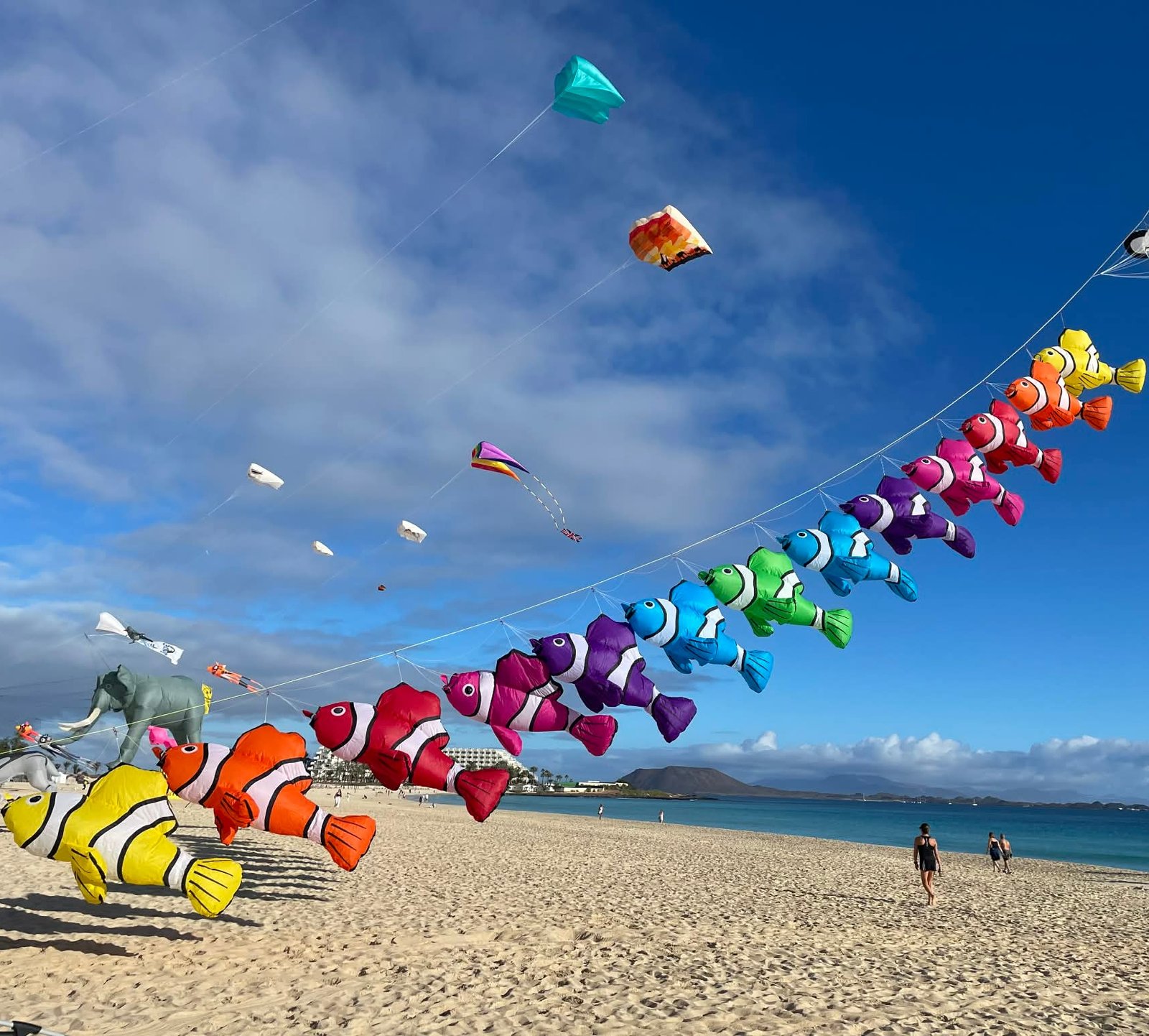 fish-line-laundry-kite