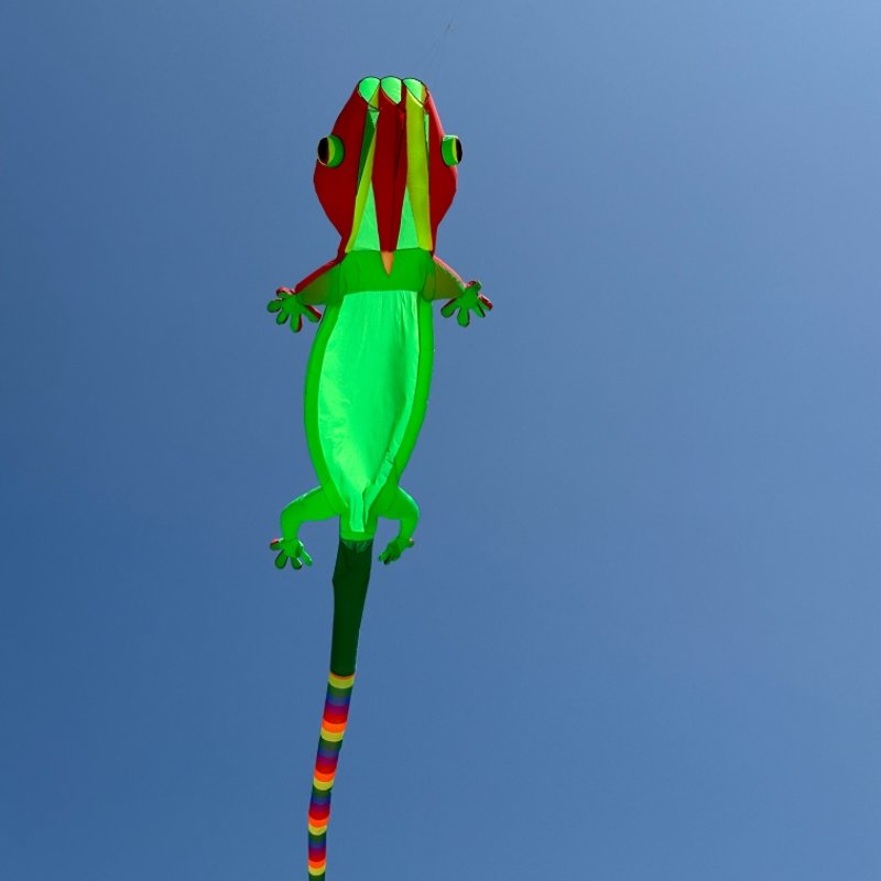 gaint-gecko-kite