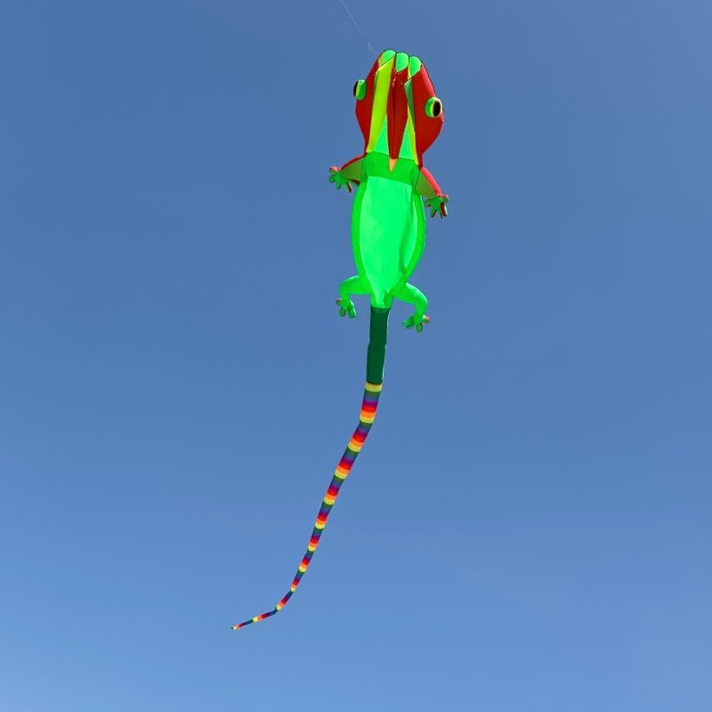 green-gecko-kite-for-adults