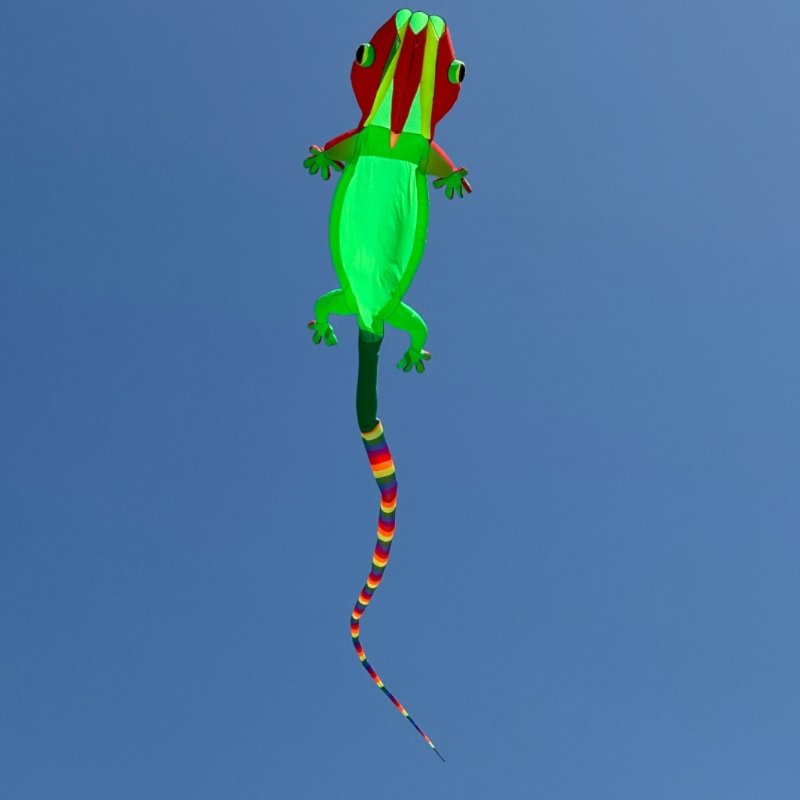 inflatable-kite-for-adults