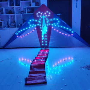 3sqm/4sqm LED dragonfly Kite with long tail – Delta Nylon Night Flying Kite