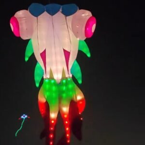 night-display-kite