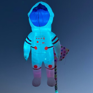 night-flying-kite-for-adutls