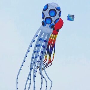 professional-kite