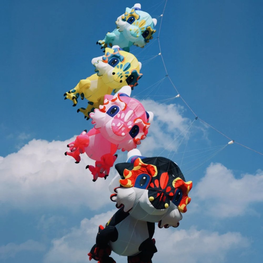 5m Soft Inflatable Dragon Kite Pendant – 40D Ripstop Nylon Colorful Show Kite for Adults