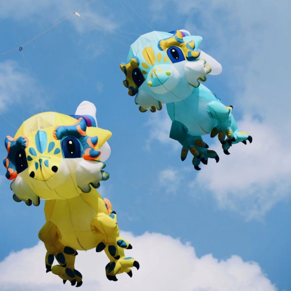5m Soft Inflatable Dragon Kite Pendant – 40D Ripstop Nylon Colorful Show Kite for Adults - Image 3