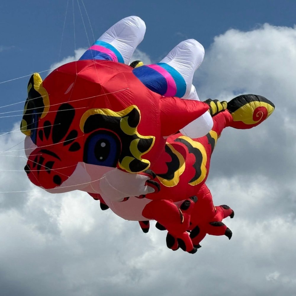 5m Soft Inflatable Dragon Kite Pendant – 40D Ripstop Nylon Colorful Show Kite for Adults - Image 5