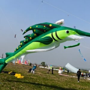 10m Giant Swordfish Kite Pendant – Soft Inflatable Marine Show Kite for Line Laundry