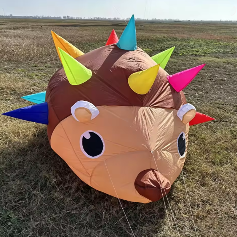 ground soft kite