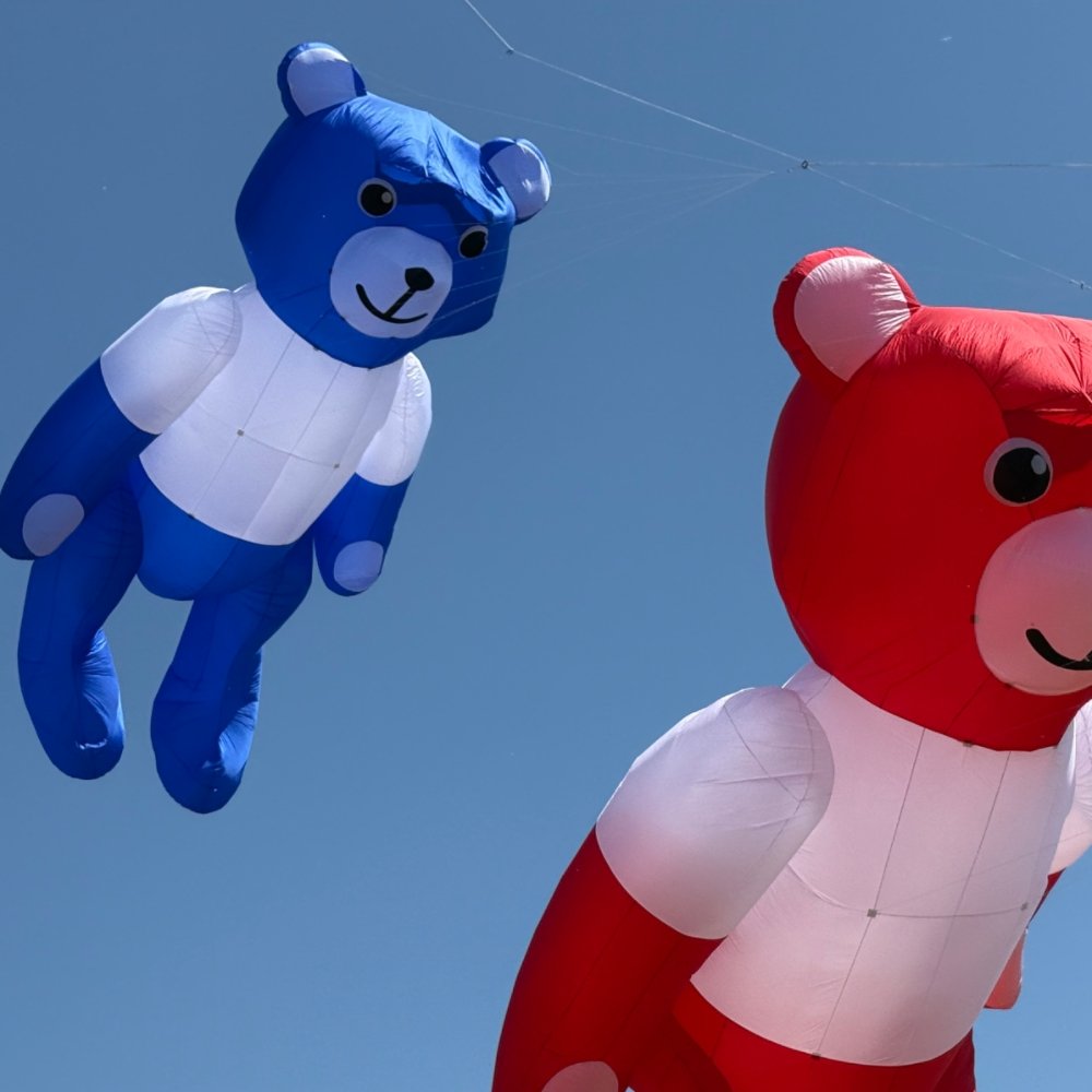 huge-soft-bear-kite