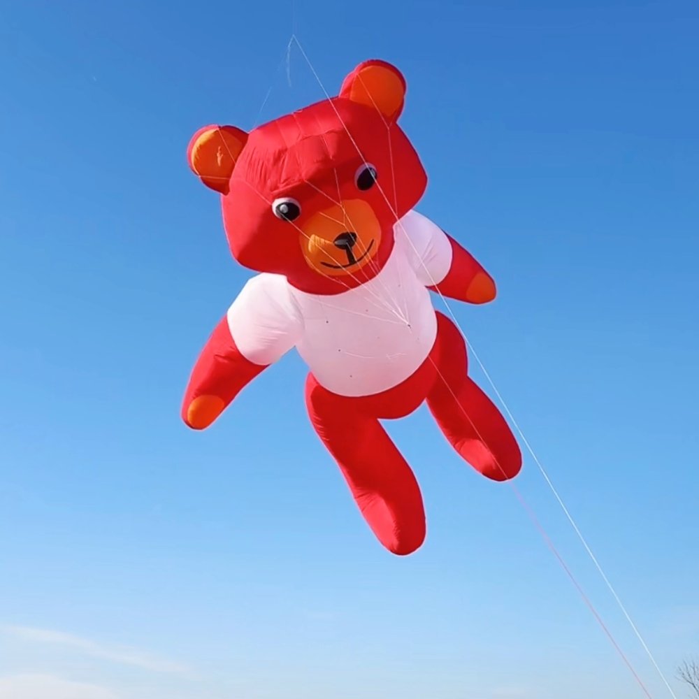 large-professional-kite