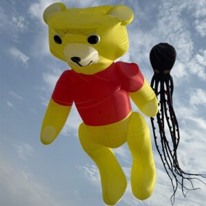 outdoor-teddy-bear-kite