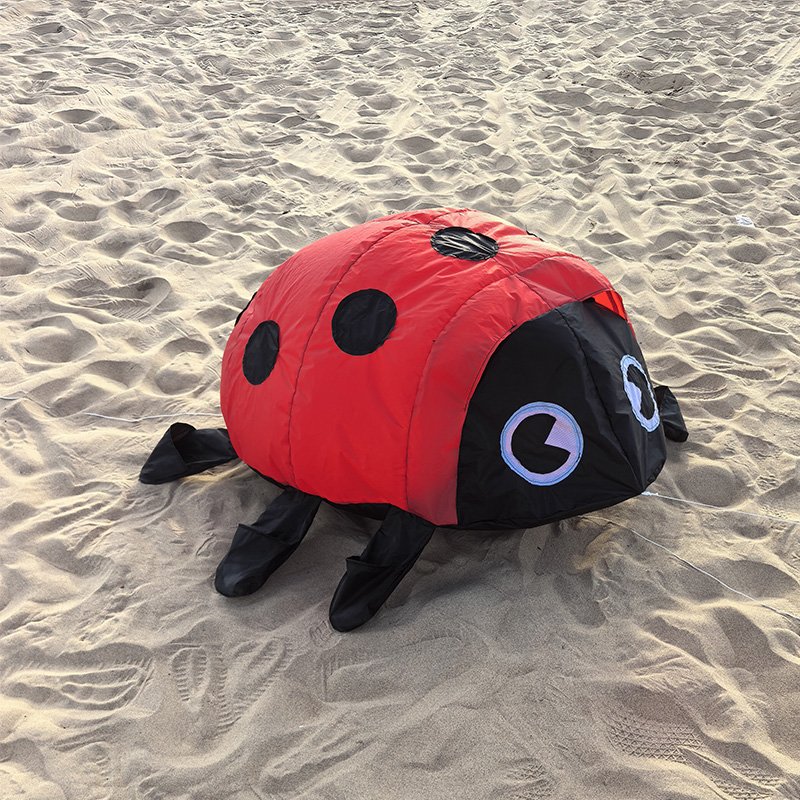 1m-ladybug-kite